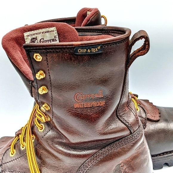 Chippewa Men's boot Paladin Briar Insulated - Picture 4 of 13